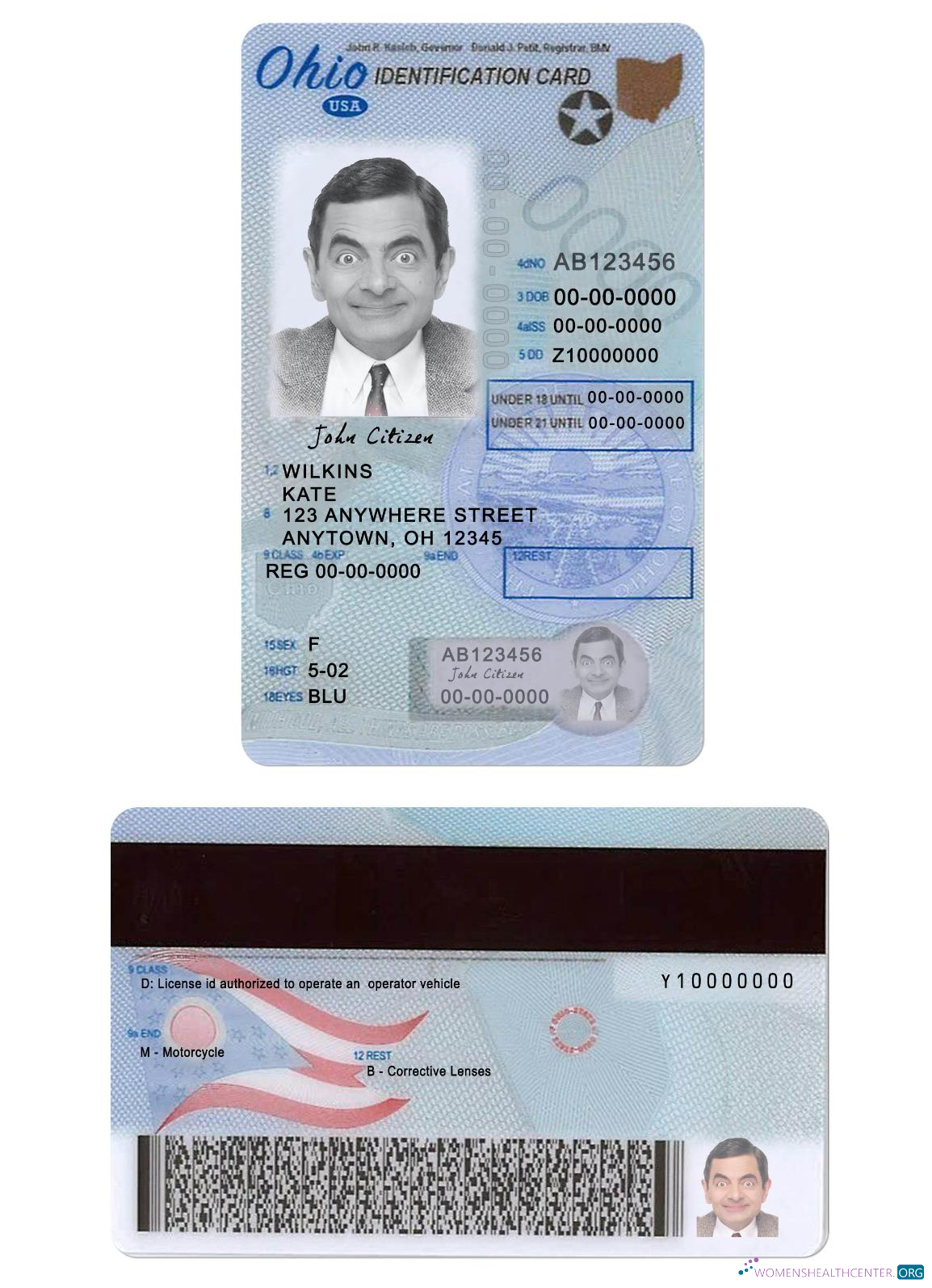 download USA Ohio driving license under 21